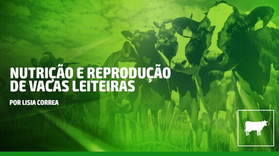 Capa do vídeo sobre Vacas leiteiras: nutrição e reprodução com Lisia Correa - plataforma de vídeos do agronegócio - Agroflix